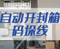 自动开封箱码垛线