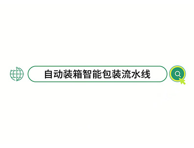 智能智造新标杆！智能自动化：理料、装箱、双线码垛，一机搞定！